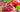 Unlocking the Healing Potential: Pomegranate Extract Supplementation for Eczema Relief
